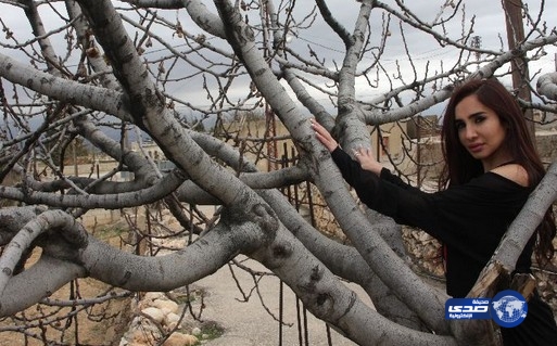 نجاه اعلامية لبنانية من حادث اعتداء