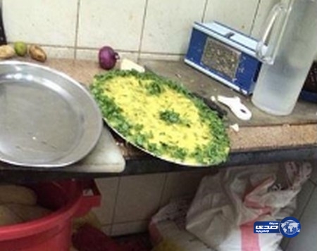 أمانة الرياض تغلق 43 منشأة مخالفة وتصادر1327 كيلو جراماً من اللحوم الفاسدة