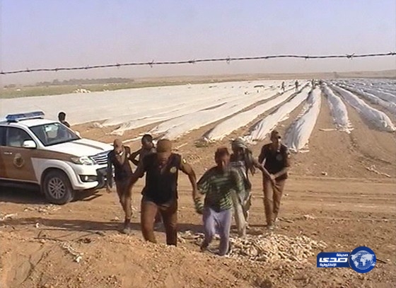 لليوم الخامس على التوالي الحملة الأمنية المشتركة بمنطقة الرياض تضبط184 مخالفاً‎