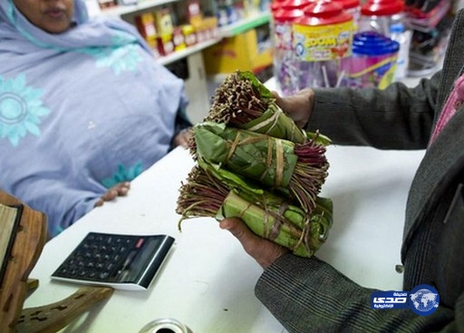 بريطانيا تسلب مسرّة اليمنيين والصوماليين بمنع القات