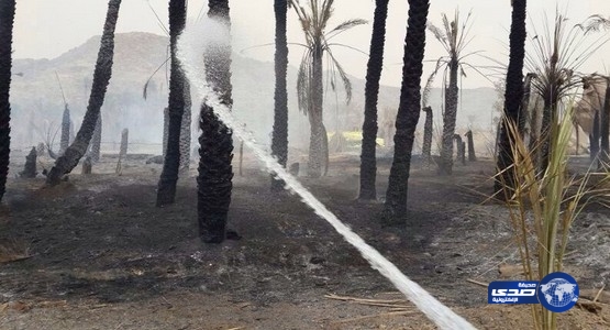 السيطرة على حريق بأشجار في وادي بيشة