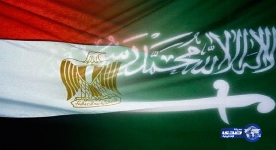 مصر تدين حادثة الوديعة وتعلن تضامنها مع السعودية