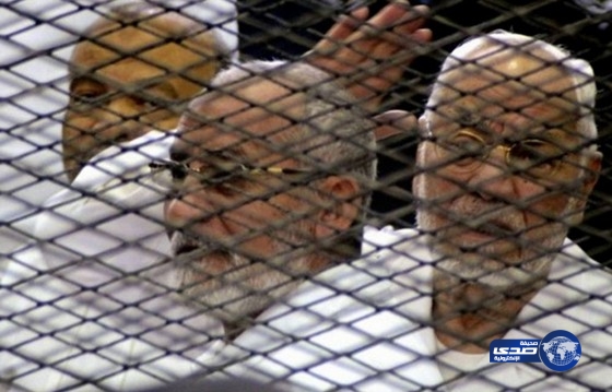 تأجيل محاكمة مرشد جماعة الإخوان و50 من قيادات الجماعة