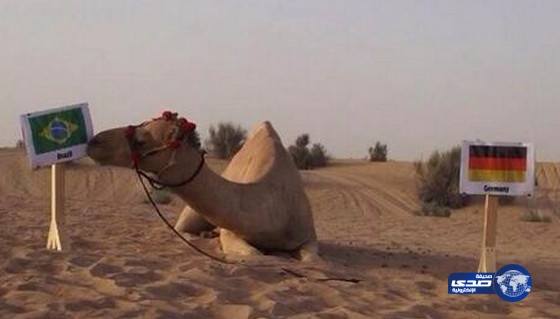 قل غيرها انت وصاحبك!!