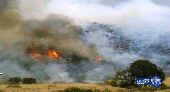 إخماد حريق أضرمه مجهولون في جبل عثربين بتنومة