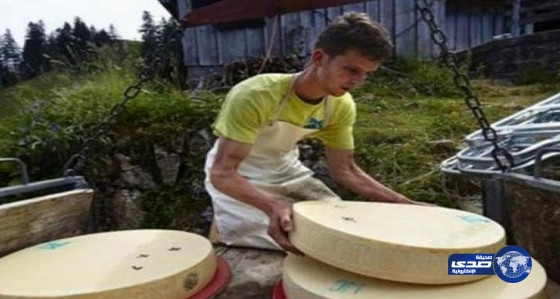 لبن الحمير يسجل سعراً قياسياً بـ 1000 يورو!