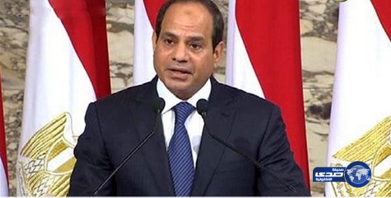 السيسي : مبادرة مصر فرصة لوقف إراقة الدماء في غزة