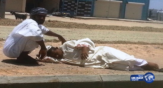 إصابة سوداني إصابة بليغة و4 آخرين في تصادم بشعر تربة
