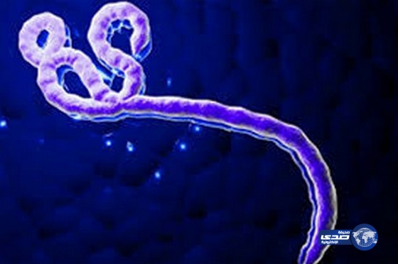 خمس حقائق عن فيروس ايبولا