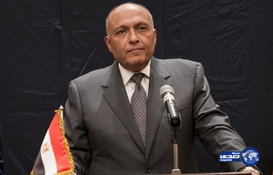 مصر تنفي نية التدخل عسكرياً في ليبيا