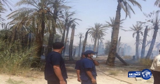 السيطرة على حريق مزرعة بالمراح العوضية