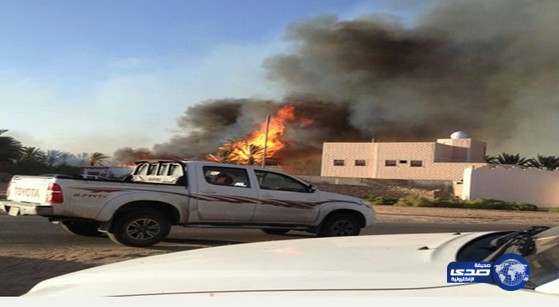 فرق الدفاع المدني تُصارع النيران في مزارع النخيل بدومة الجندل