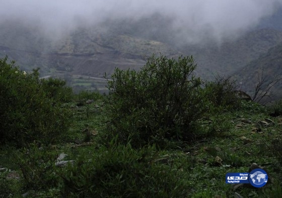 مدني الباحة يدعو إلى أخذ الحيطة والحذر في ظل توقعات بهطول أمطار