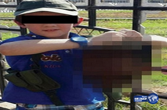 “هذا هو ابني”.. أب استرالي يتباهى بابنه (7 سنوات) وهو يحمل رأسا مقطوعة لـ جندي سوري