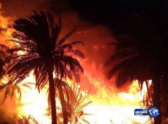 بالفيديو: الاندلاع حريق بوادي حنيفة