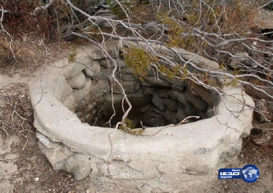 الدفاع المدني بينبع النخل ينتشل جثة مقيم من جنسية اسيوية ببئر في منطقة عباثر بنبع النخل‎