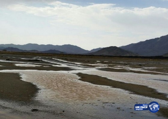 بالصور: هطول أمطار متوسطة على غرب العيص‎