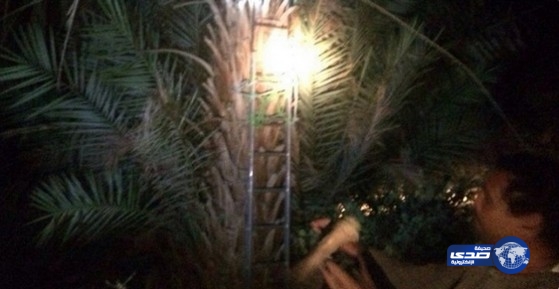 الدفاع المدني يُنقذ مسنًّا سقط بمنطقة وعرة شمال المدينة