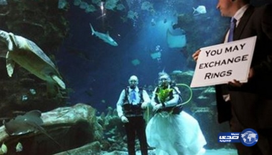 عريسان يقيمان حفل زفافهما تحت الماء