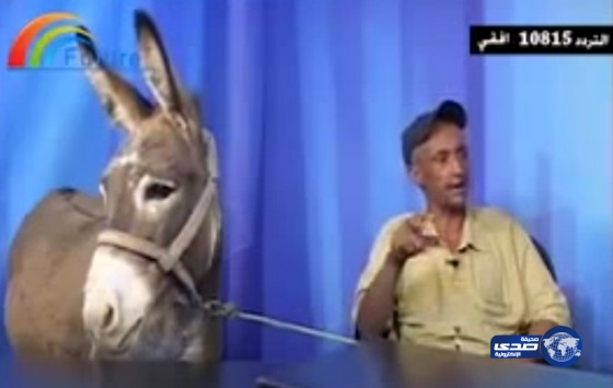 بالفيديو.. قناة أردنية تستضيف “حمارًا”