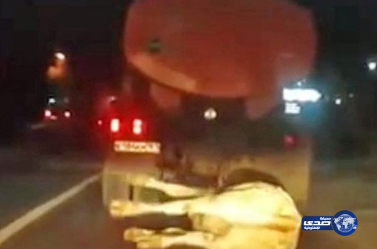 بالفيديو:بطريقة وحشية .. شاحنة تجر خلفها بقرة حية