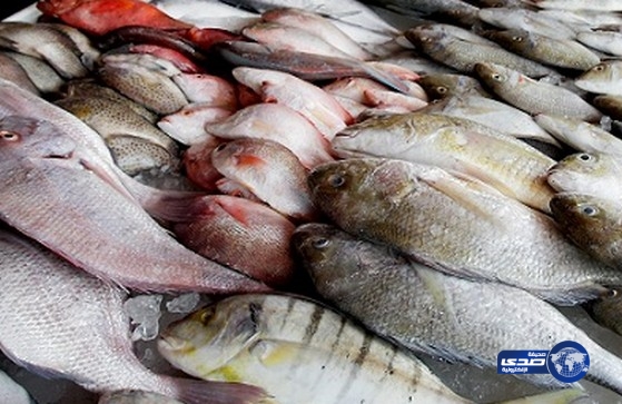 أسماكٌ فاسدة تتسبب في إغلاق ٢٠ مسمكة بمركزي تبوك