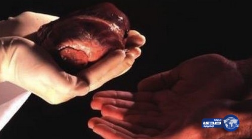 زوج يوهم زوجته بعمل تحليل حمل ويبيع “كليتها” بـ 20 ألف جنيه