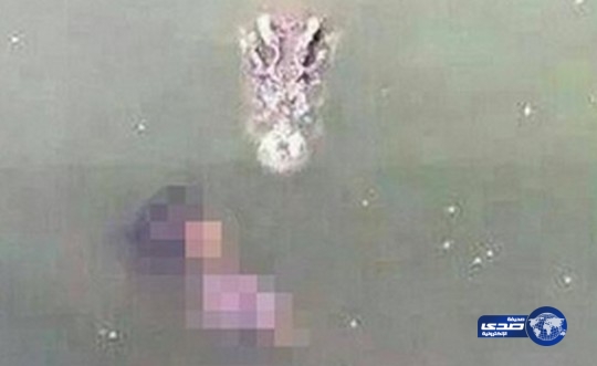 إمرأة تنتحر بإلقاء نفسها وسط 1000 تمساح !