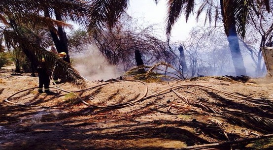 3 فرق تخمد حريقًا شب بمزرعة في تثليث