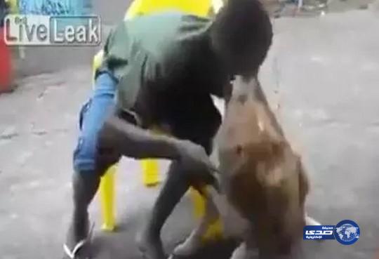 بالفيديو.. كلب يؤدب شاب أراد التصوير معه بطريقة خاصة