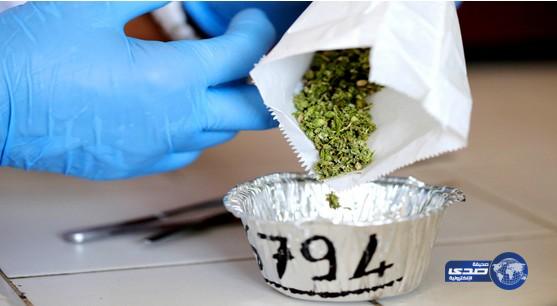 مدينة أمريكية توزّع مخدرات على الفقراء مجاناً