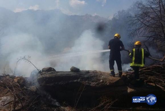 اخماد حريق اندلع في اشجار بقرية بني لام  في تنومة