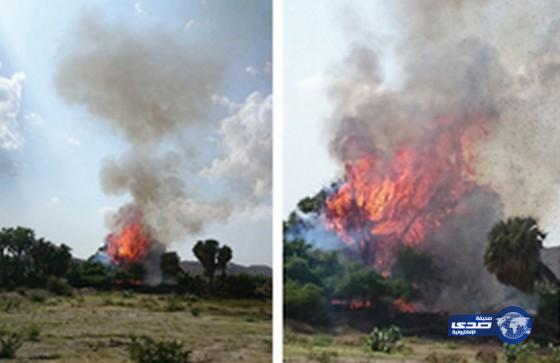 بالصور :اندلاع حريق هائل في منتزة وادي الفطيحة