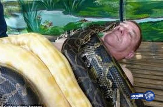 بالفيديو :افعى بطول خمسة امتار تحت السرير