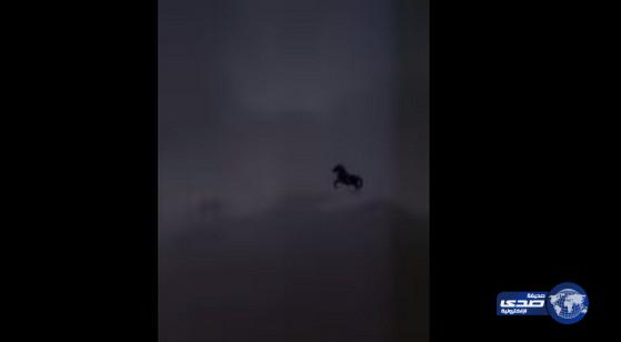 بالفيديو:بالون معبأ بالهواء على هيئة حصان يثير سكان جدة