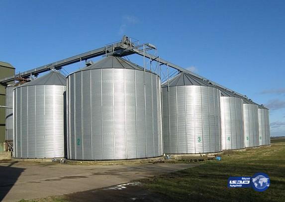صوامع الغلال تستورد 690 ألف طن من القمح لهذا العام