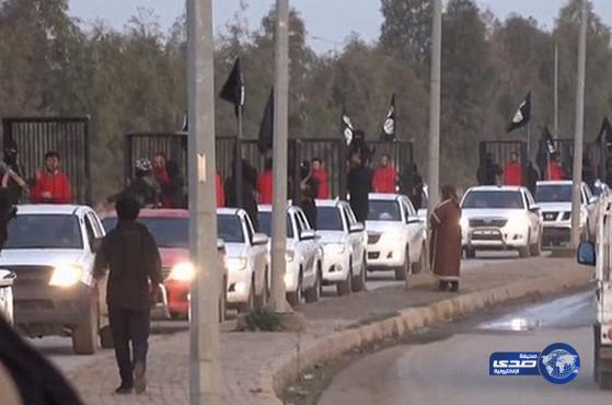 داعش يسيّر 21 أسيراً كردياً بزي الإعدام في أقفاص