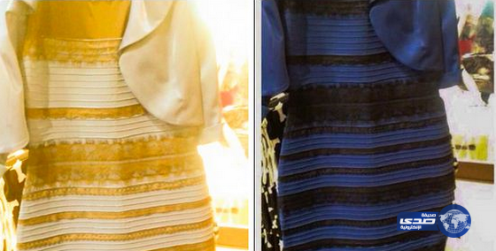 صور: ألوان فستان تثير الجدل على مواقع التواصل الإجتماعي