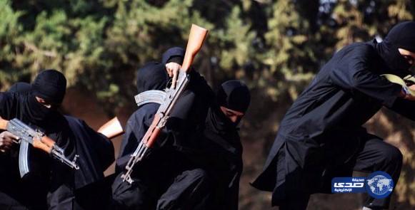 مسلحون يقتلون 12 عنصراً من داعش شرق سوريا