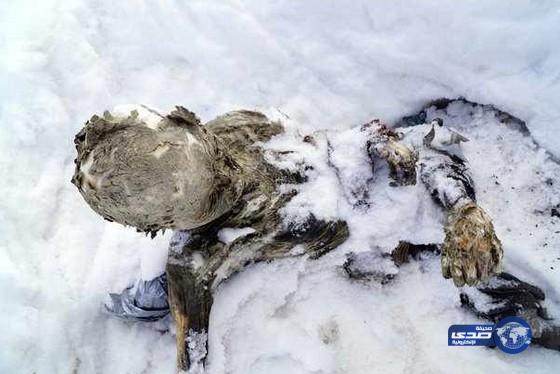 بالصور:العثور على جثتين متجمدتين منذ 55 عاماً بالمكسيك