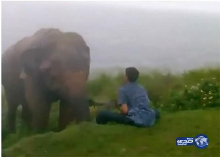 فيل يدعس على مخمور تشاجر معه في أحد المنتزهات السريلانكية