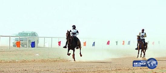 الفروسية الدولية» توقف الإمارات بسبب معاملة الجياد