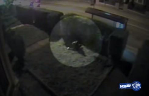 فيديو: كاميرات المراقبة توثق حادث إغتصاب مراهقة وقتلها في ليدز