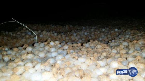 بردية الحنان جنوب القويعية