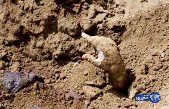 فتاة مصرية تعود للحياة بعد دفنها وتتهم أهلها بقتلها