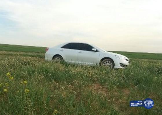 بالصور :الربيع في الأردن‎