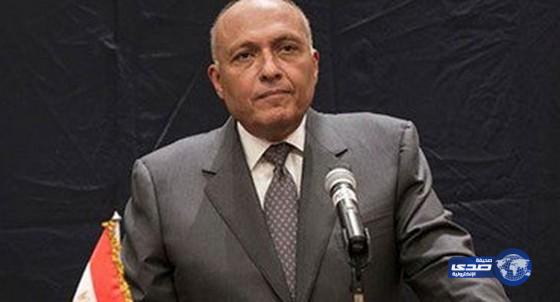 مصر ننسق مع الخليج لتوجيه ضربات جوية وبحرية مشتركة للحوثيين