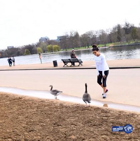 علا الفارس تلاعب البط