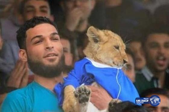 فلسطيني يصطحب أسداً لمشاهدة مباراة كرة قدم