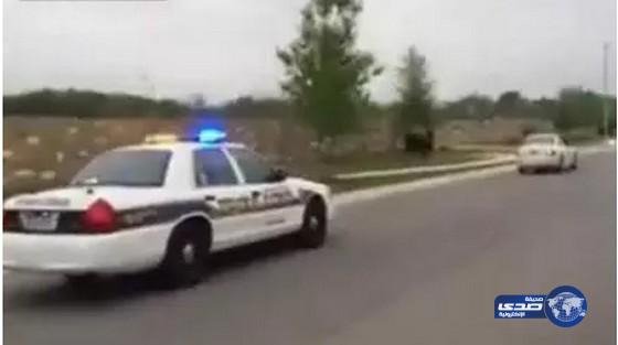 بالفيديو: الشرطة تطارد جاموساً في شوارع تكساس